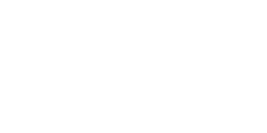 Logo Italínea
